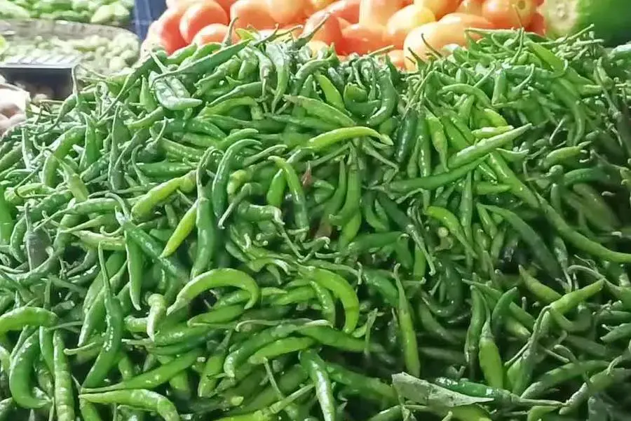 দুই থেকে পাঁচ দিনের মধ্যে কাঁচামরিচের দাম কমবে, আমদানি শুরু সোমবার: কৃষিমন্ত্রী